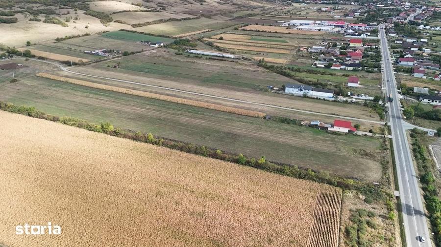 Teren de 15700 mp, în Șieu