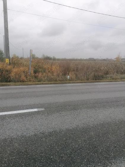 Teren de 3700 mp, în Săcueni