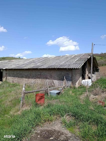 Casă cu 2 camere cu Teren 5300 Mp în Sânpaul