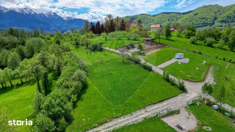 Teren de 500 mp, în Tohănița