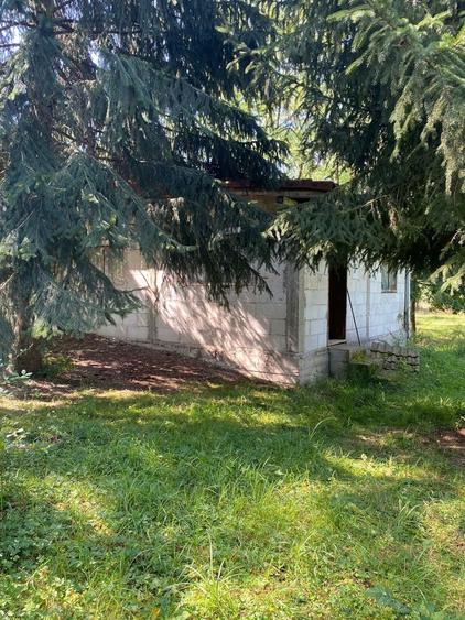 Casă cu 5 camere cu Teren 3438 Mp în Avram Iancu (Vârfurile)