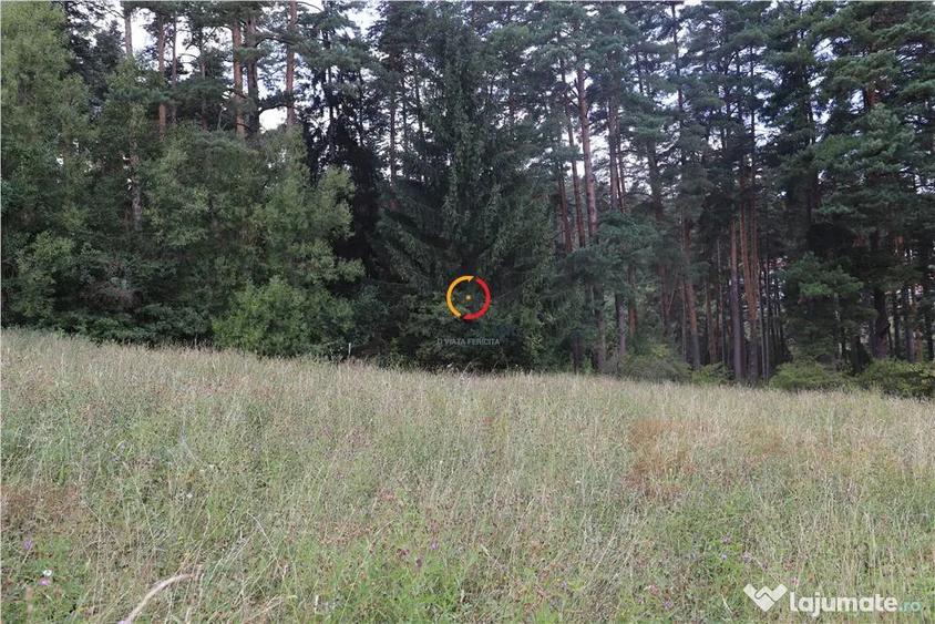 Teren de 1195 mp, în Poiana Angelescu