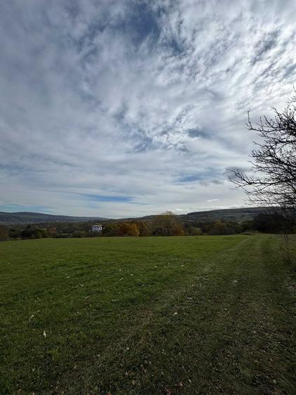 Teren de 8434 mp, în Corușu