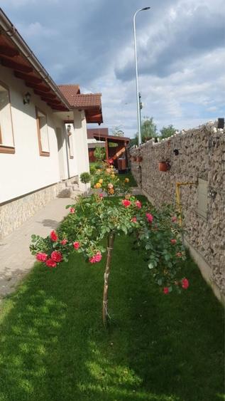 Casă cu 4 camere în Teleac