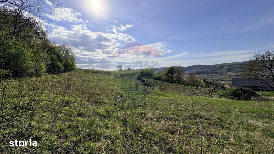 Teren de 15320 mp, în Central