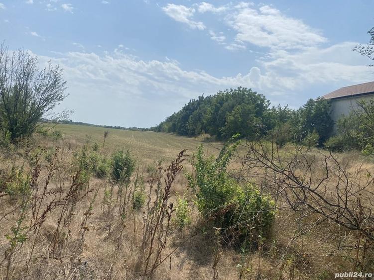 Teren de 12600 mp, în Frumușani