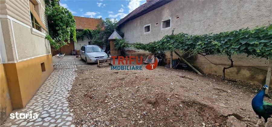 Casă cu 3 camere cu Teren 1252 Mp în Ighiu
