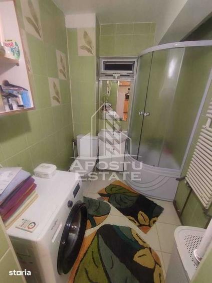 Apartament cu 2 camere decomandat, mobilat în Iosefin