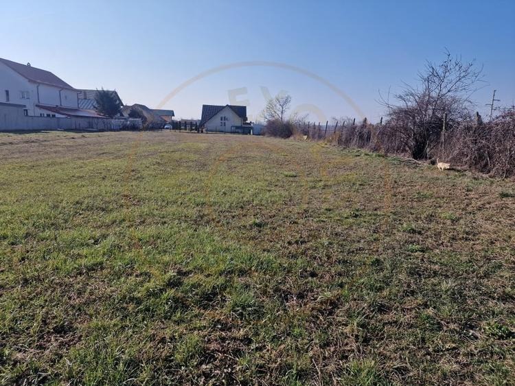 Teren Construcții intravilan de 2000 mp, în Mărăcineni