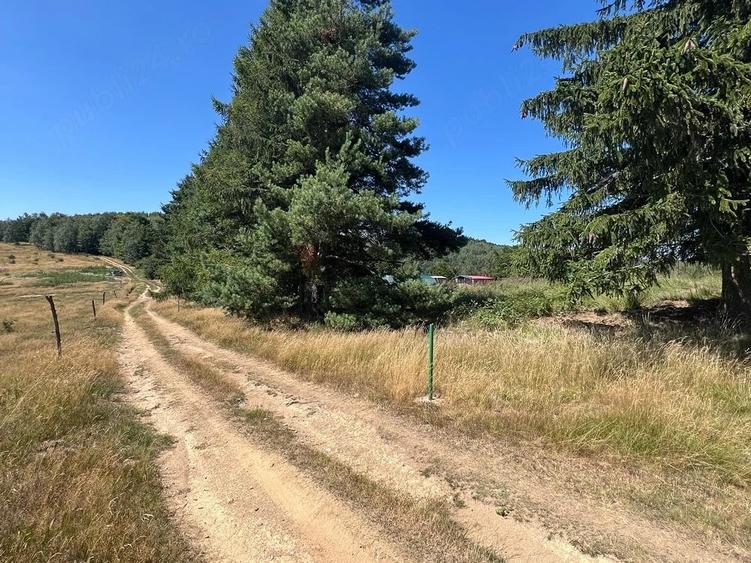 Teren de 4290 mp, în Gărâna