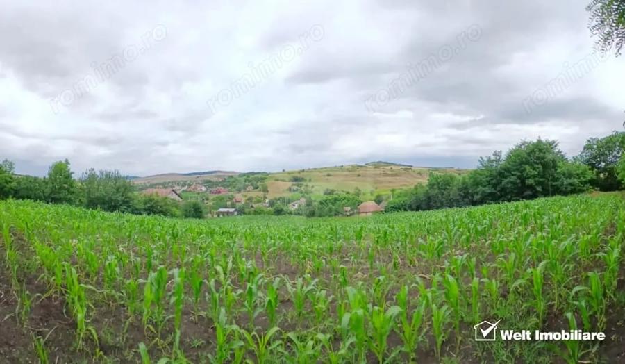 Casă cu Teren 7000 Mp în Cămărașu