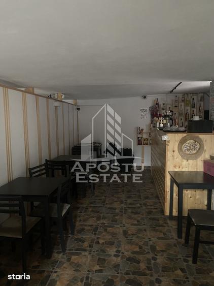 Casă cu 5 camere cu Teren 397 Mp în Crișan
