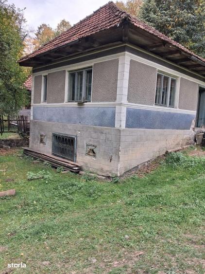 Casă cu 3 camere cu Teren 7000 Mp în Central