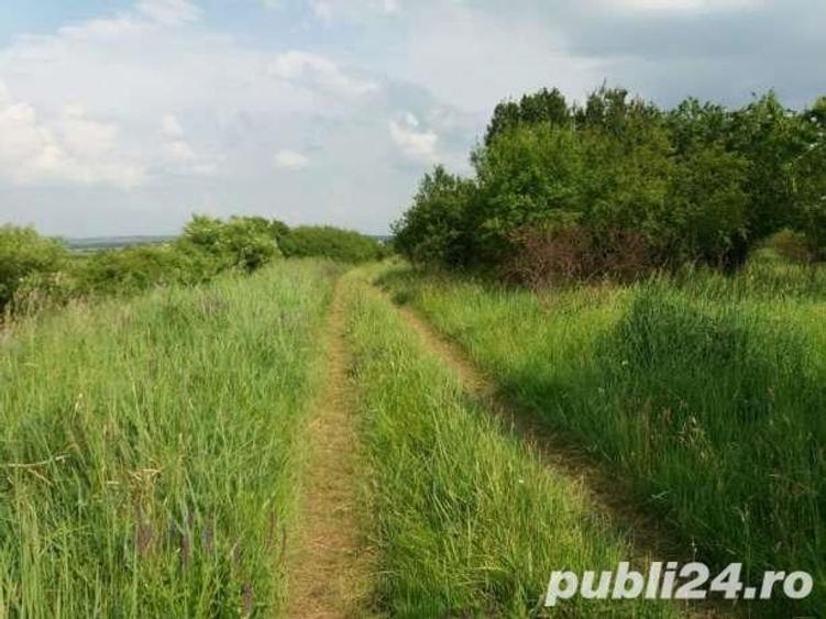 Teren de 10900 mp, în Oncea