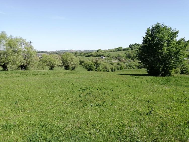 Teren de 1600 mp, în Cacica