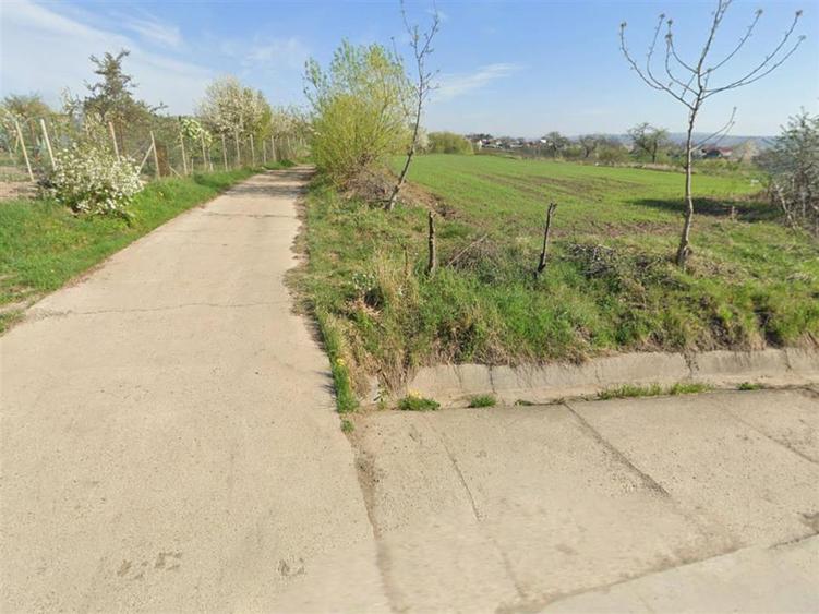 Teren agricol intravilan de 15000 mp, în Ilișești