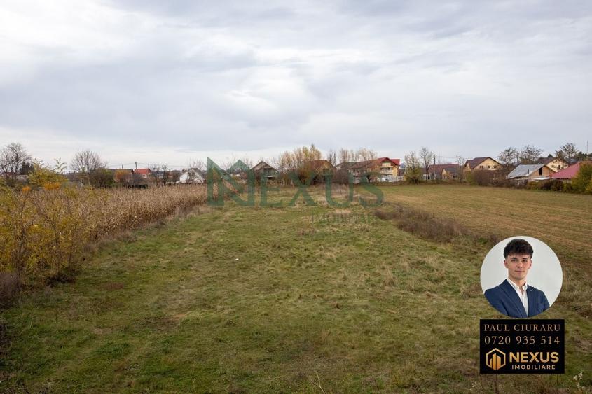 Teren Construcții intravilan de 3942 mp, în Nicolae Bălcescu