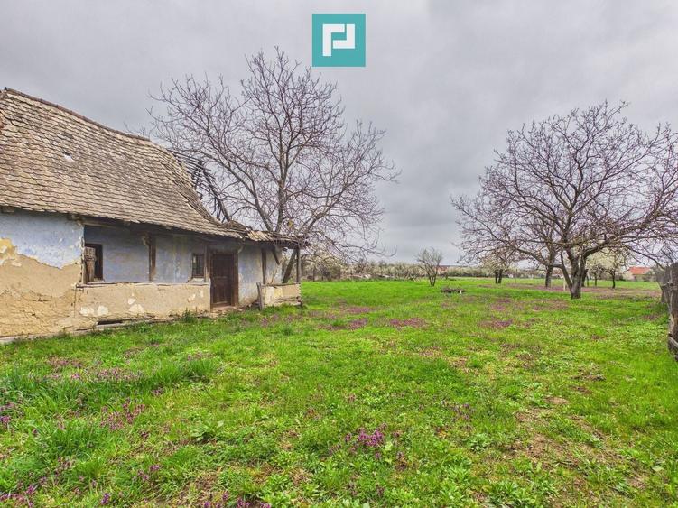 Teren Construcții intravilan de 2777 mp, în Felcheriu