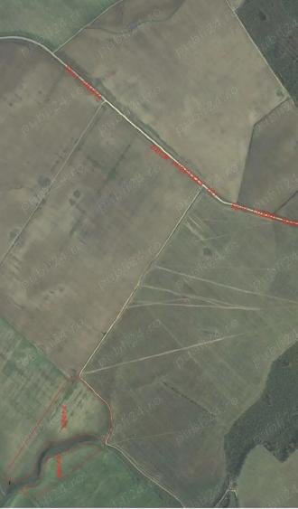 Teren de 420000 mp, în Gratia
