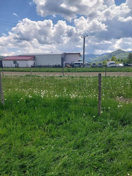 Teren de 2630 mp, în Vama Buzăului