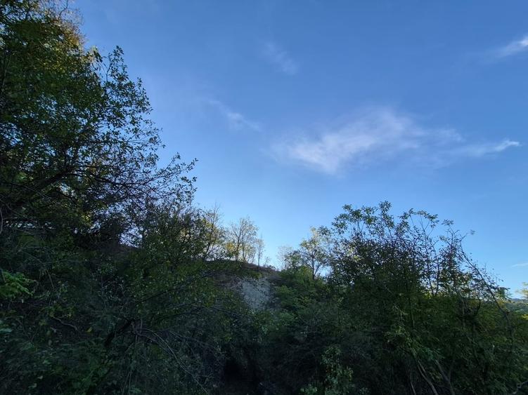 Casă cu 4 camere cu Teren 8000 Mp în Pruni