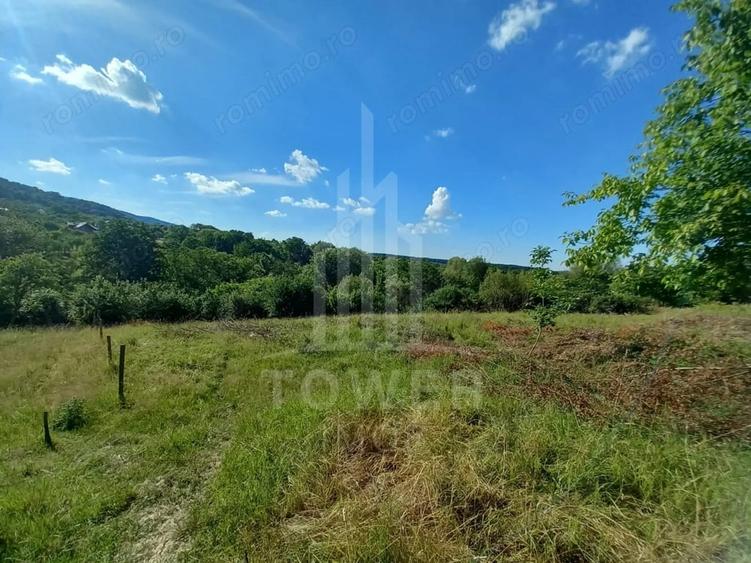 Teren de 3673 mp, în Fântânele