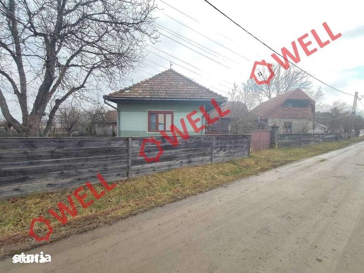 Proprietate cu 2 case de vanzare in Tama?falau! - 17