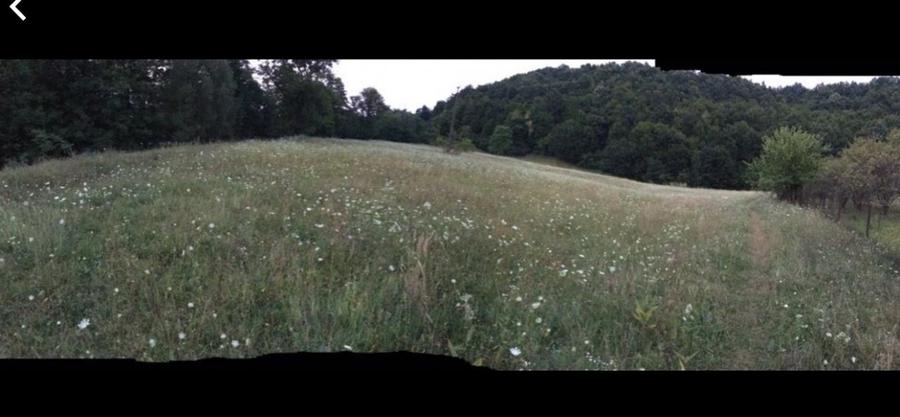 Teren intravilan de 9500 mp, în Bughea de Jos