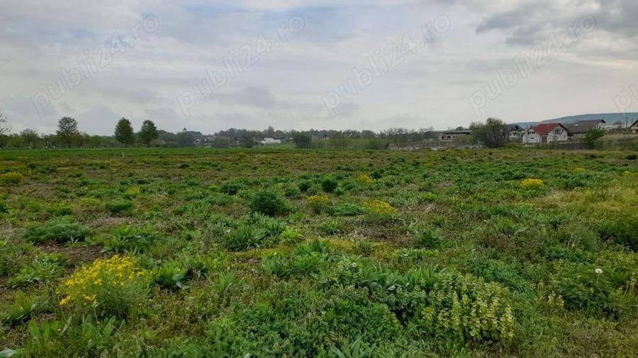 Teren de 5900 mp, în Mitocu Dragomirnei