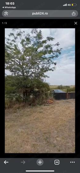 Teren de 15700 mp, în Central