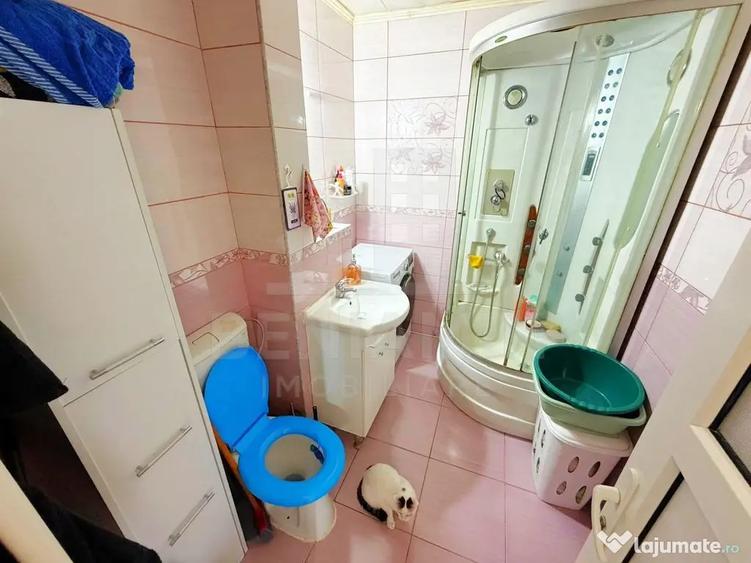 Apartament cu 2 camere decomandat în Lăpuș Argeș