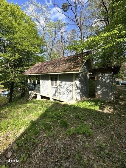 Cabana/Casuta din lemn Lac mujdeni cu ponton privat pe lac - 5
