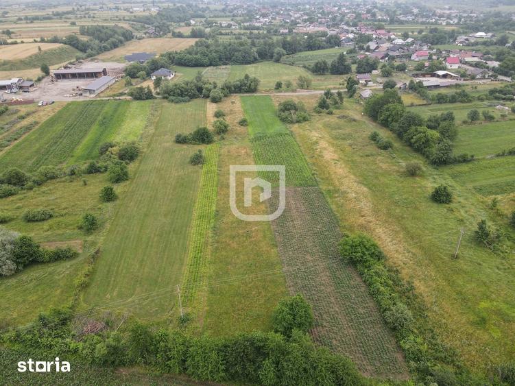 Teren de 3600 mp, în Brusturi