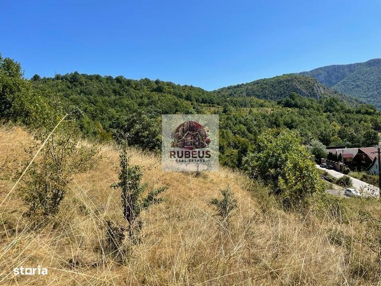 Teren de 2580 mp, în Dubova