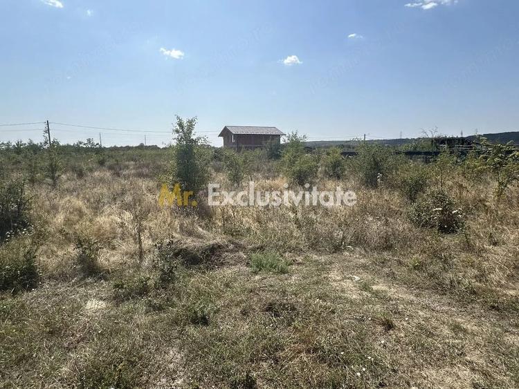 Teren zona Magic Trivale intravilan 1040 mp - 3