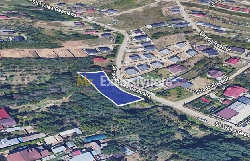 Teren de 1299 mp, în Geamăna