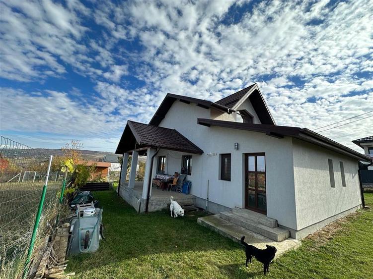 Casă cu 3 camere cu Canalizare în Vișan