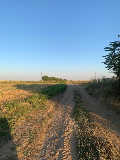 Teren Construcții intravilan de 8655 mp, în Dascălu