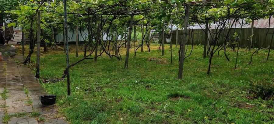 Teren de 3000 mp, în Plăieșu