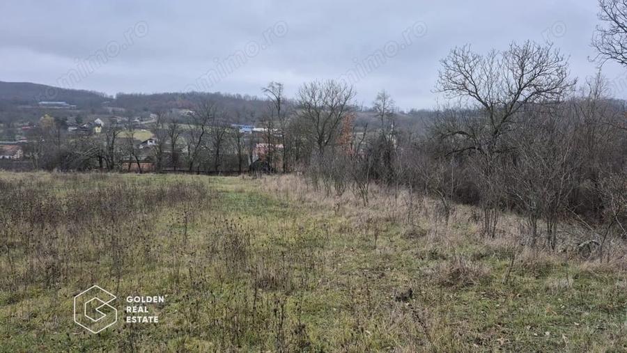 Teren de 2880 mp, în Șiștarovăț
