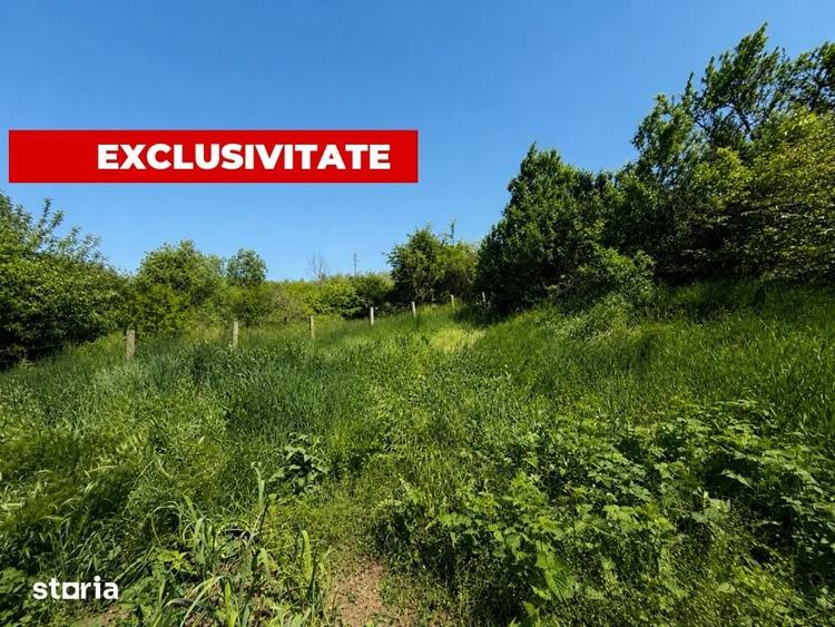 Casă cu 3 camere cu Teren 1577 Mp în Sava