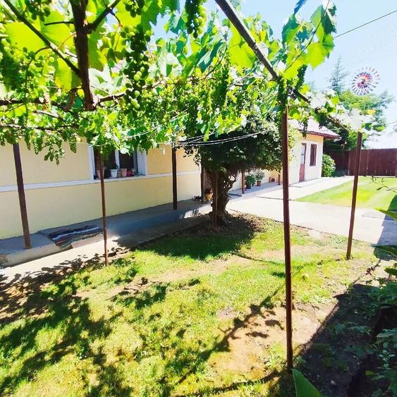 Casă cu 3 camere cu Teren 2200 Mp în Central