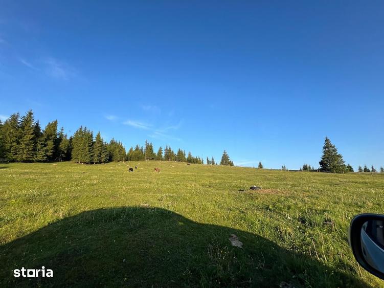 Teren de 500000 mp, în Ciocănești