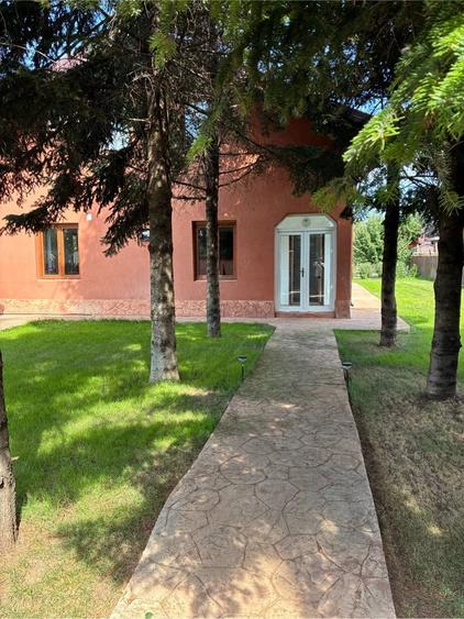 Casă cu Teren 1500 Mp în Afumați