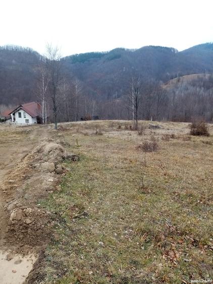 Teren de 10000 mp, în Lepșa