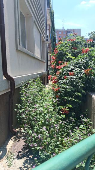 VANZARE APARTAMEN VILA INTERBELICA MOSILOR - 3