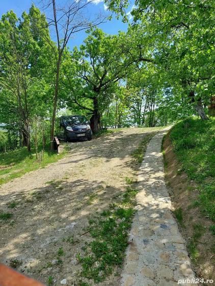 Casa cu peste 1HA pamant in Calimanesti - 9