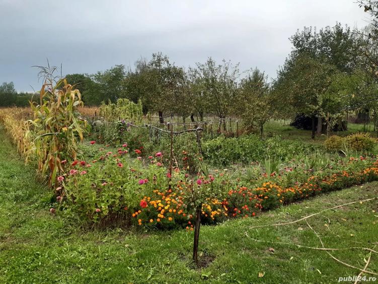 Casa de vanzare in sat Capalnas, comuna Birchis - 6