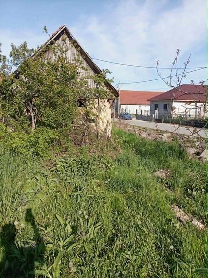 casa de vanzare in com.Calarasi - 4