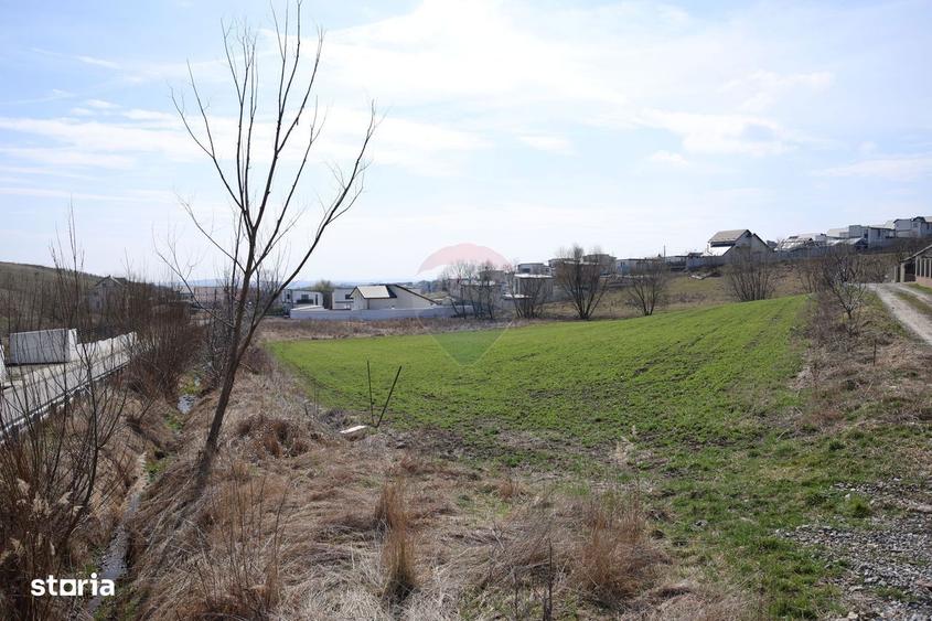 Teren 3,500mp Moara / Strada Pprincipala - 7